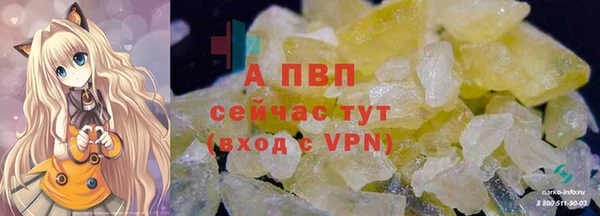 дживик Корсаков