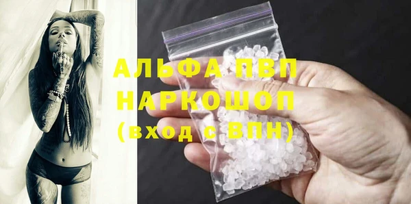 дживик Корсаков