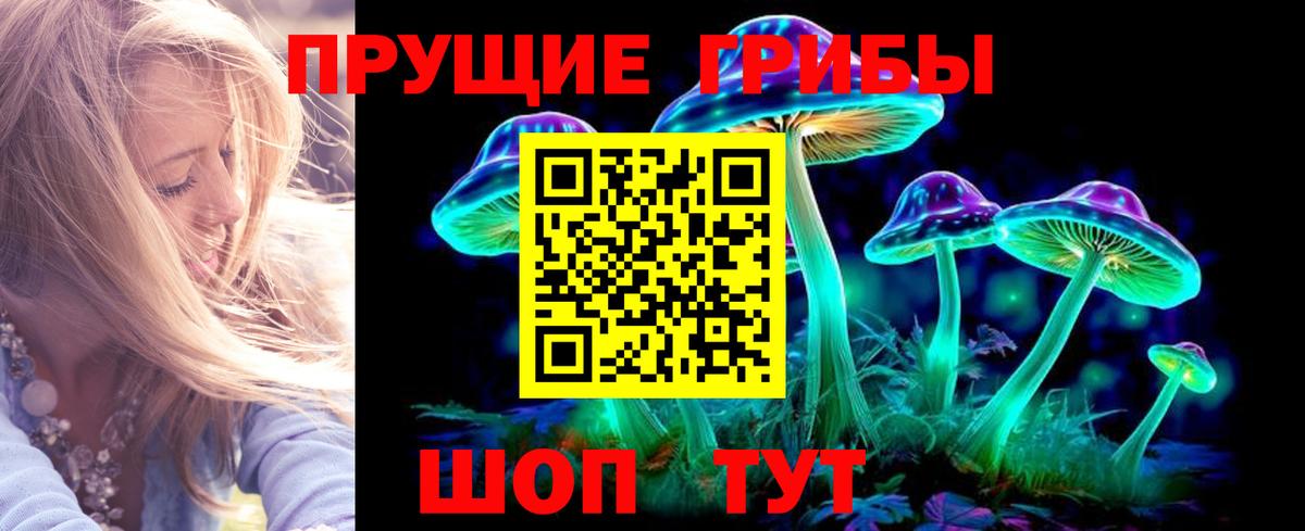 Галлюциногенные грибы прущие грибы  Вход с VPN  Карпинск  Псилоцибиновые грибы GOLDEN TEACHER 